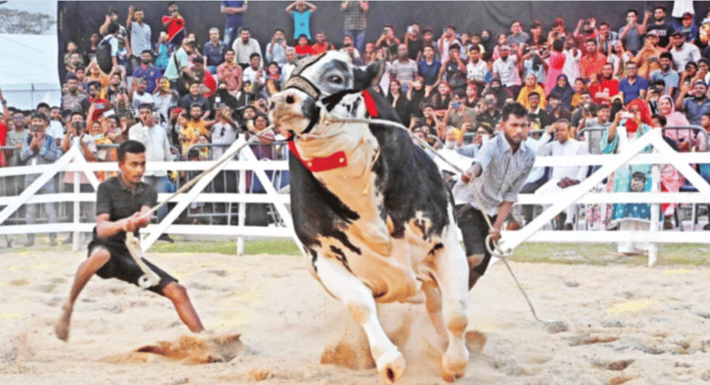 র্যাম্প শো