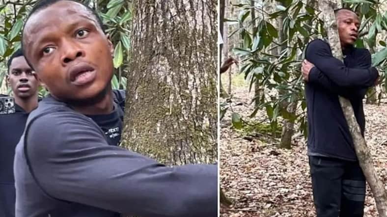 tree-hug-world-record