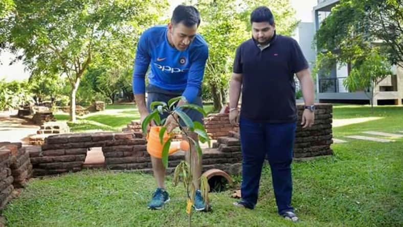 আইপিএলে ডট বল