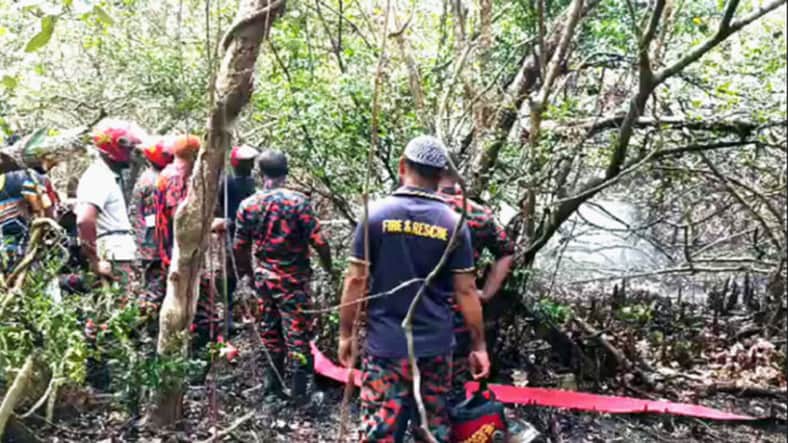 আগুনে ক্ষতি নির্ণয়
