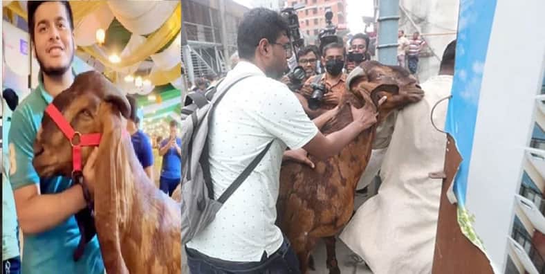 সাদিক এগ্রো ফার্ম