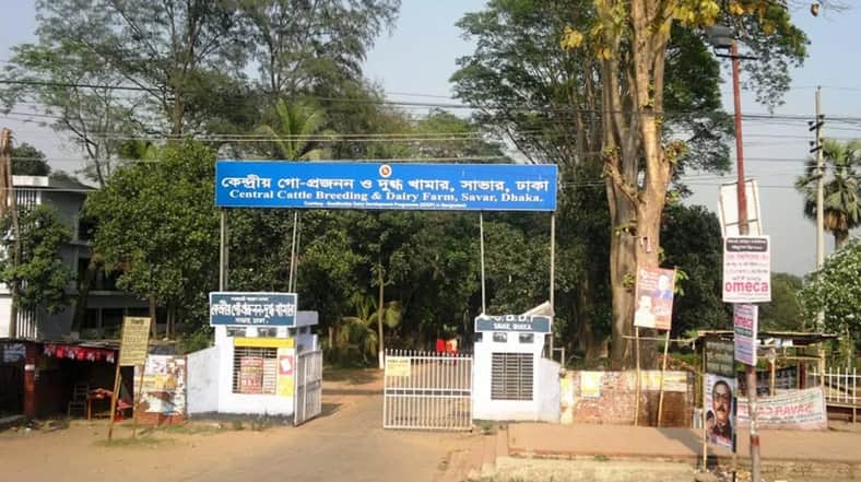 Central Cattle Breeding and Dairy Farm