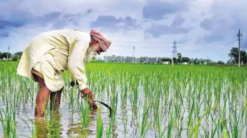 Farmer