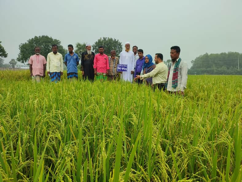 গাজীপুরে ৫ জাতে ধান নিয়ে বিনার দুই মাঠ দিবস (1)