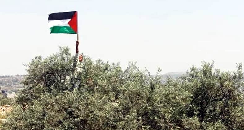 Palestinians