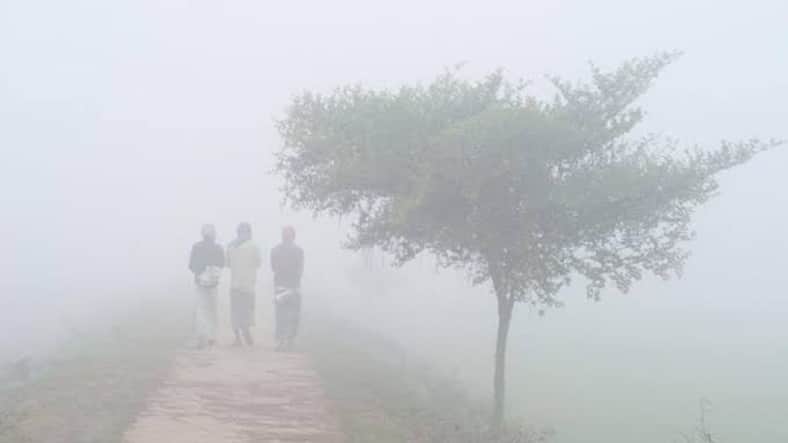 শৈত্যপ্রবাহ