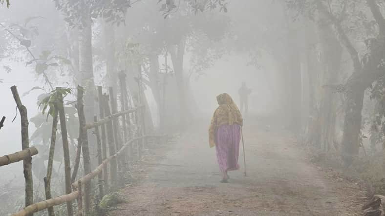 শীত