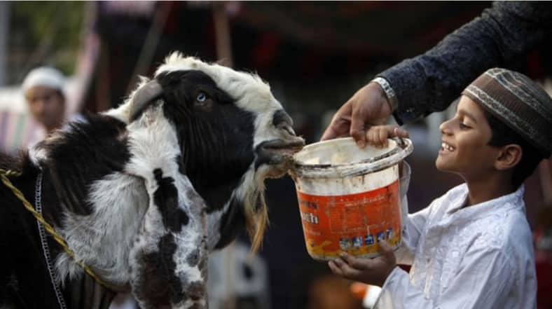 শরিকি কোরবানি