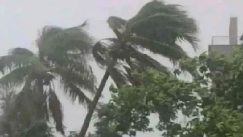 ঝড়ের আভাস