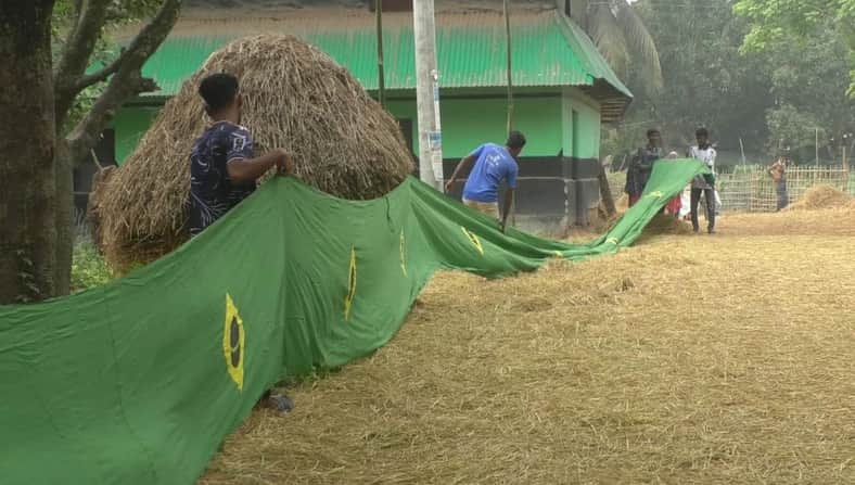 ব্রাজিলের পতাকা