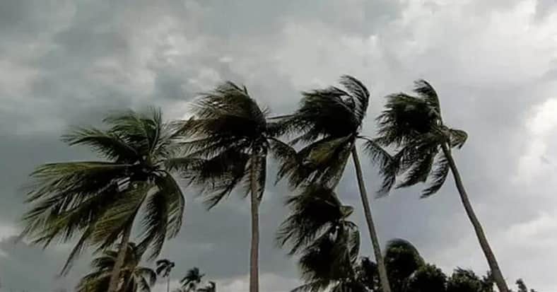 ঝড়ের শঙ্কা