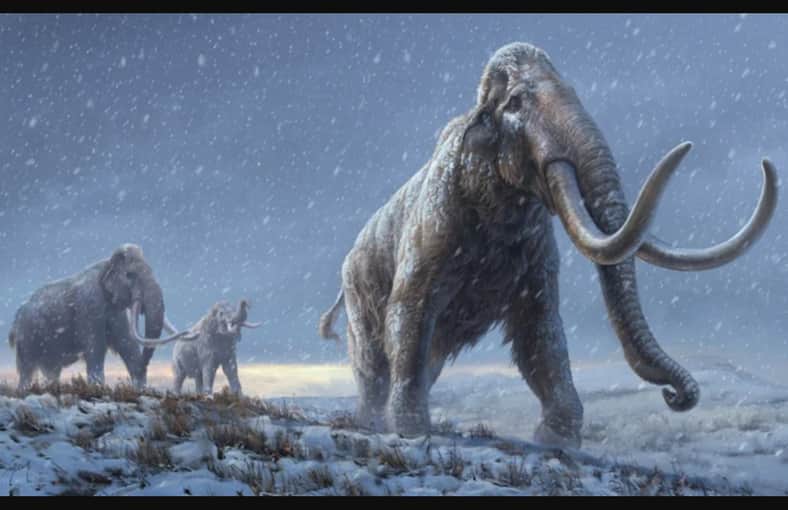 700,000-Year-Old Mammoth DNA