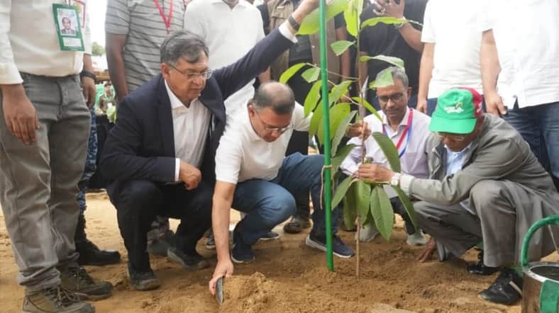 বৃক্ষরোপণ কর্মসূচি