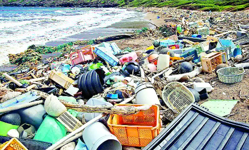 প্লাস্টিক দূষণ : হু হু করে বাড়ছে সিঙ্গেল ইউজ প্লাস্টিকের ব্যবহার