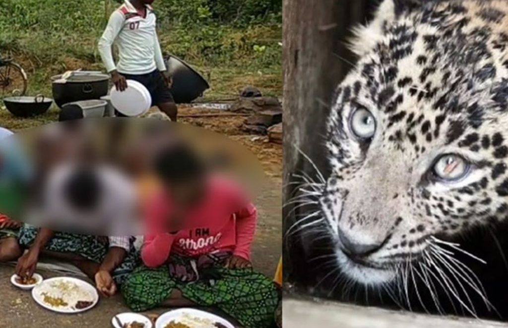 চিতাবাঘের মাংস দিয়ে বনভোজন, পুলিশের মামলা