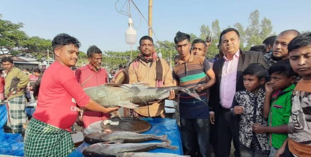 এক মাছের দাম ৮৫ হাজার টাকা