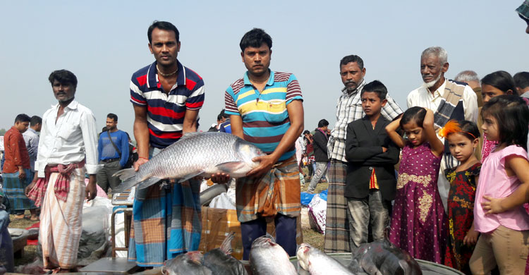 মাছের মেলায় বড় মাছ কেনার প্রতিযোগিতা