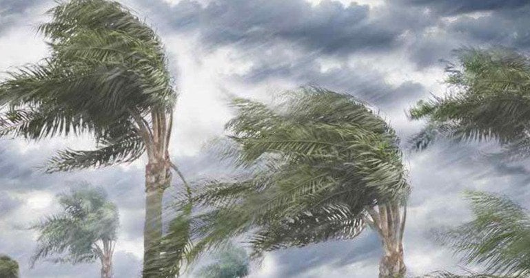 ধেয়ে আসছে কালবৈশাখী ঝড় কালবৈশাখী ঝড়