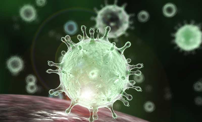 মাস্ক বা গ্লাভস নয়, করোনাভাইরাস প্রতিরোধে ঘন ঘন যে কাজটি করা প্রয়োজন