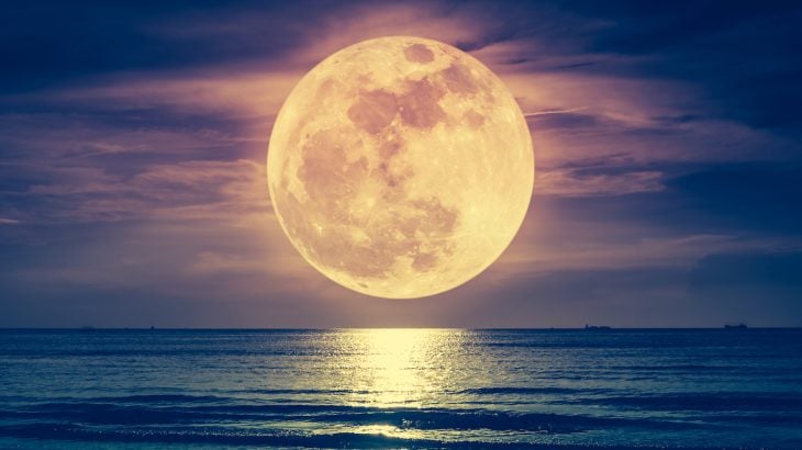 When Is the November Beaver Moon Supermoon? Brightest and Closest Full Moon of 2025 Explained When is the November Beaver Moon supermoon