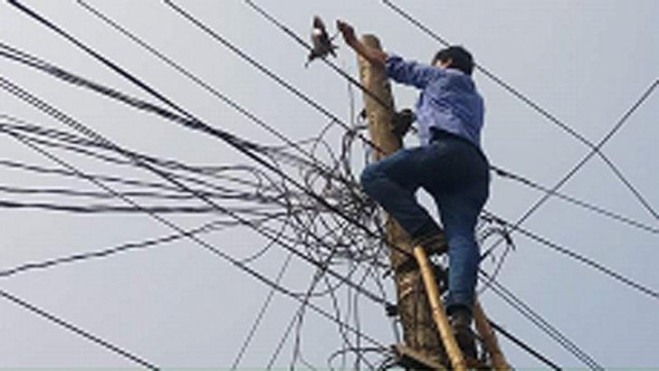 অবশেষে আটকেপড়া শালিকটি উদ্ধার করল দমকল বাহিনী