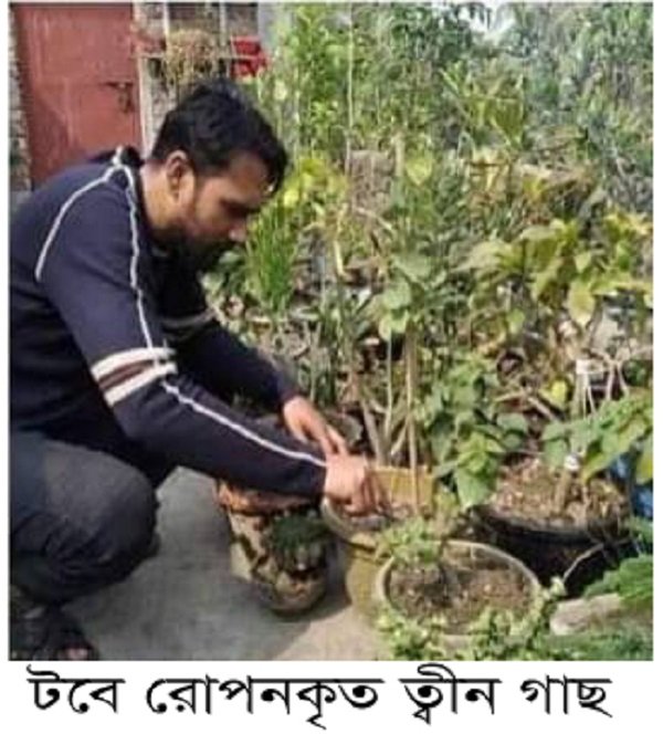 পাইকগাছার লবণাক্ত মাটিতে কোরআনে বর্ণিত ‘তীন’ গাছে ফল ধরেছে