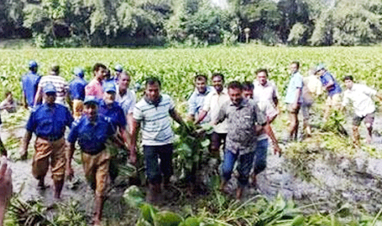 কচুরিপানা নিয়ে দুই পক্ষের সংঘর্ষ, আহত ২০