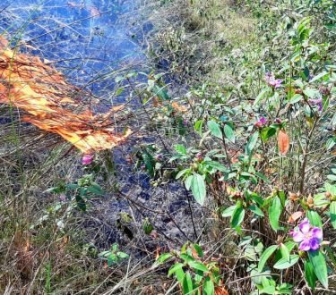 প্রশাসনের কেউ আগুন লাগালে তার বিরুদ্ধে ব্যবস্থা নেয়া হবে : কুবি রেজিস্ট্রার