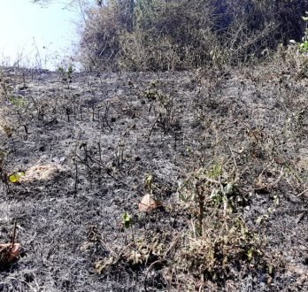 প্রশাসনের কেউ আগুন লাগালে তার বিরুদ্ধে ব্যবস্থা নেয়া হবে : কুবি রেজিস্ট্রার