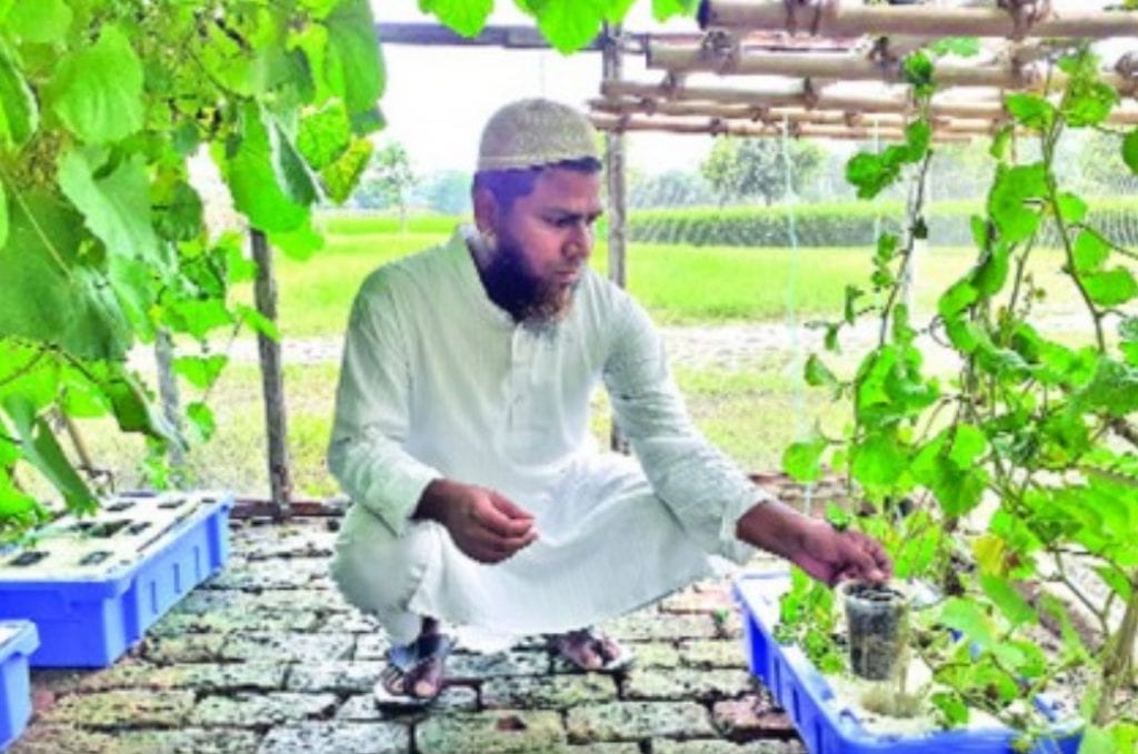 কুমিল্লায় মাটিবিহীন সবজি চাষে আগ্রহ বাড়ছে