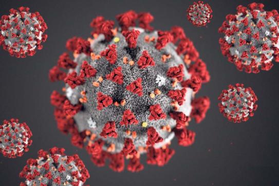 Govt urges people to remain alert without panic