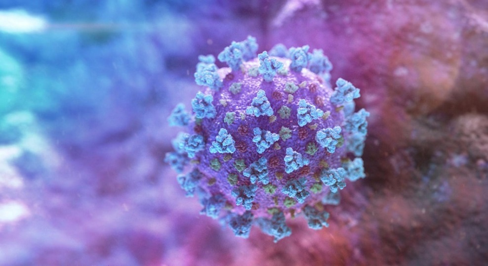 নোয়াখালী, ফেনী, সাতক্ষীরা, নওগাঁ ও ঝিনাইদহে করোনার সর্বশেষ পরিস্থিতি