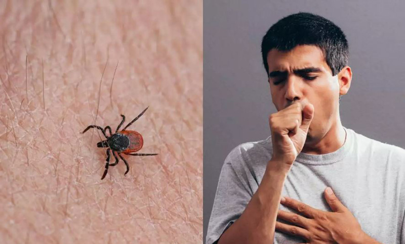 নতুন ভাইরাস বুনিয়াও মানুষ থেকে মানুষে ছড়ায় করোনার মতো