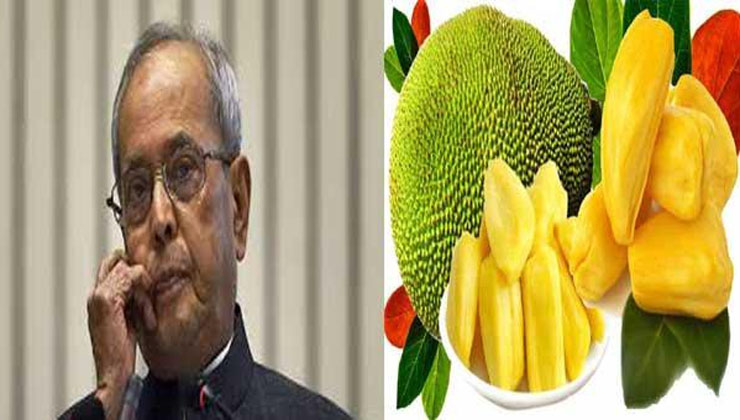 আমার জন্য গ্রাম থেকে একটা কাঁঠাল নিয়ে আসিস : ছেলেকে প্রণব মুখার্জি