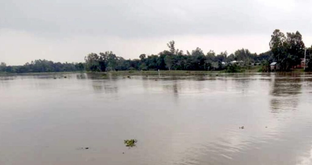 নদীতে গোসলে নেমে প্রাণ গেল দুই যুবকের