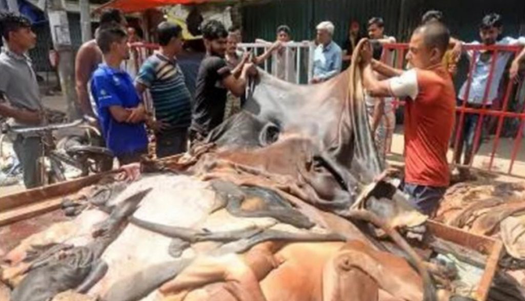 দাম নিয়ে অসন্তুষ্টির মধ্যেই চামড়া কেনাবেচা শুরু