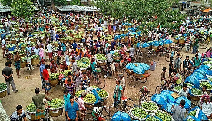 ফজলী ১৫-১৬ হাজার, আম রুপালী ৯-১০ হাজার টাকা মণ