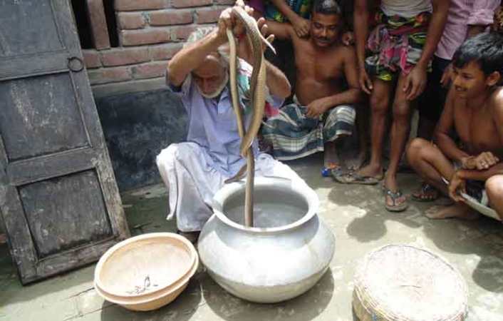 সাপ খেলা দেখাতে গিয়ে সাপুড়ের মৃত্যু