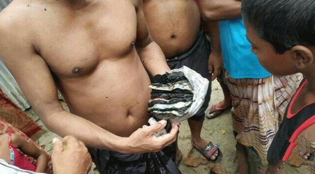 পুড়ে ছাই হল ঋণের ৪ লাখ টাকা