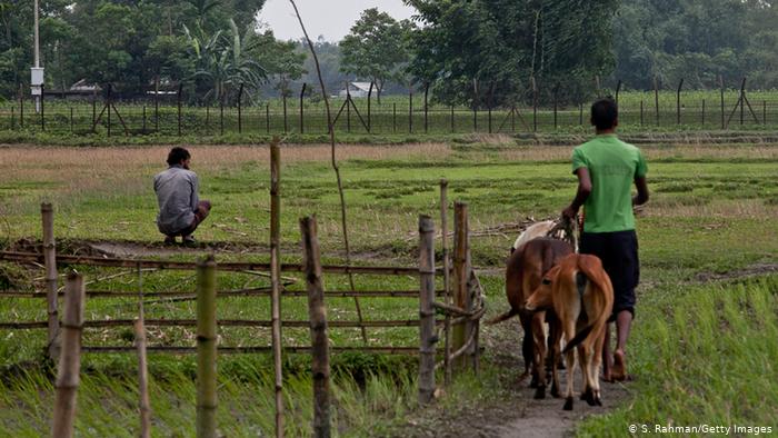 গরু পাচারে বিএসএফ জড়িত খবরে পাঠকের প্রতিক্রিয়া