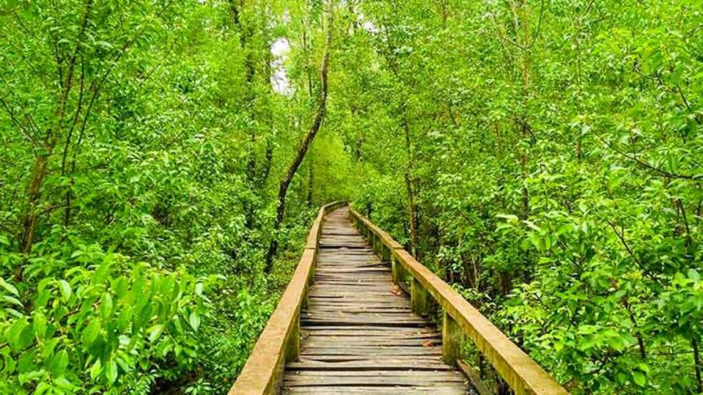 ঘুরে আসুন বরগুনার নৈসর্গিক পর্যটন স্পটগুলো