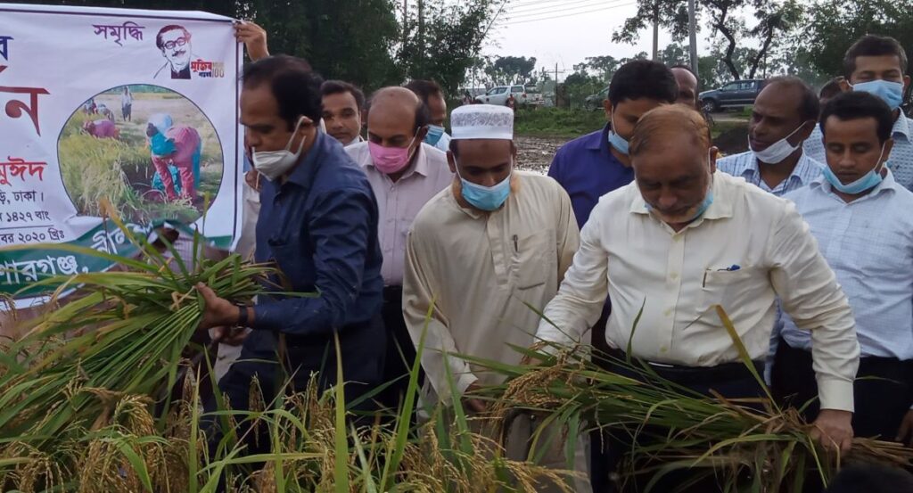 কিশোরগঞ্জে আগাম রোপা আমন ধানের নমুনা ফসল কাটলেন ডিএই মহাপরিচালক