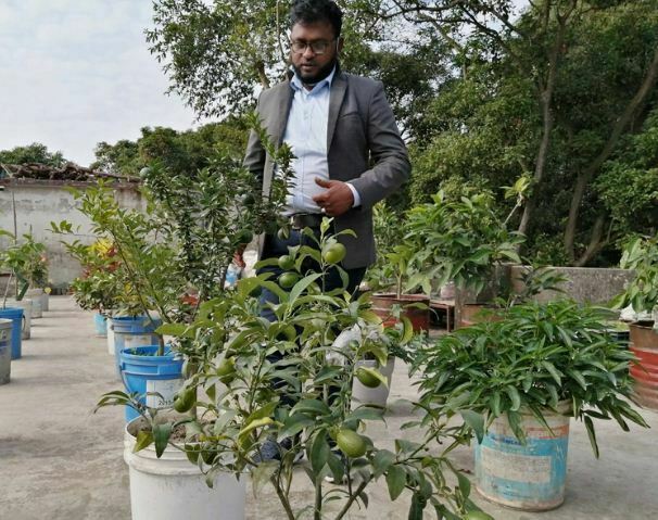 বিদ্যালয়ের ছাদ বাগান কেড়েছে সবার দৃষ্টি