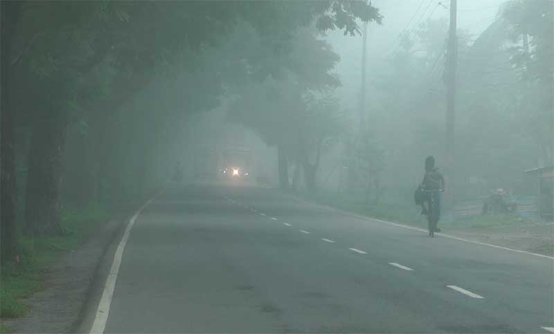 শৈত্যপ্রবাহ নিয়ে নতুন করে যা জানা গেল