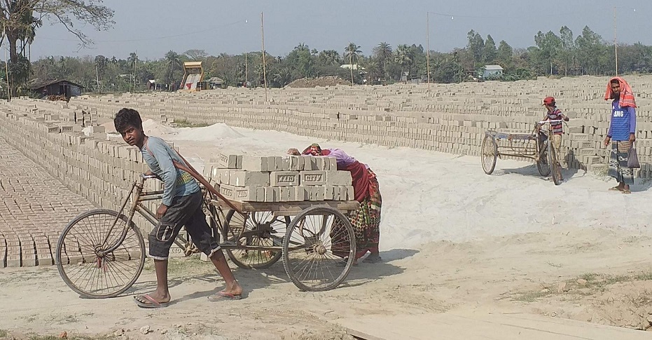 মানিকগঞ্জে ইটভাটায় পিষ্ট শিশুর ভবিষ্যৎ