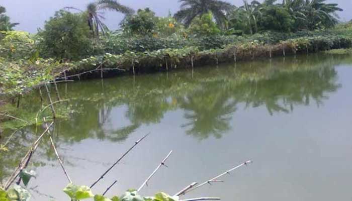 সুনামগঞ্জে পুকুরে নেমে বিদ্যুৎস্পৃষ্ট হয়ে মা-ছেলের মৃত্যু