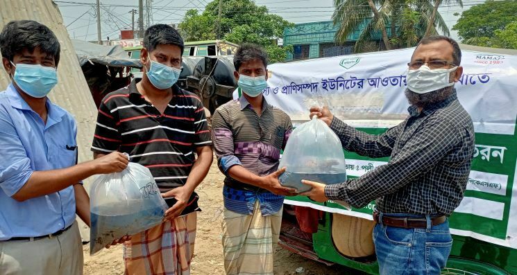 কলেজ বাজারে বিনামূল্যে মাছের পোনা বিতরণ করল মমতা