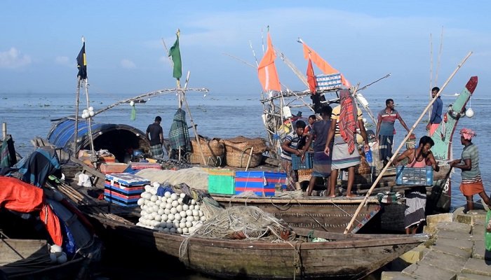 ঝাঁকে ঝাঁকে ইলিশ ধরা পড়ছে জেলেদের জালে