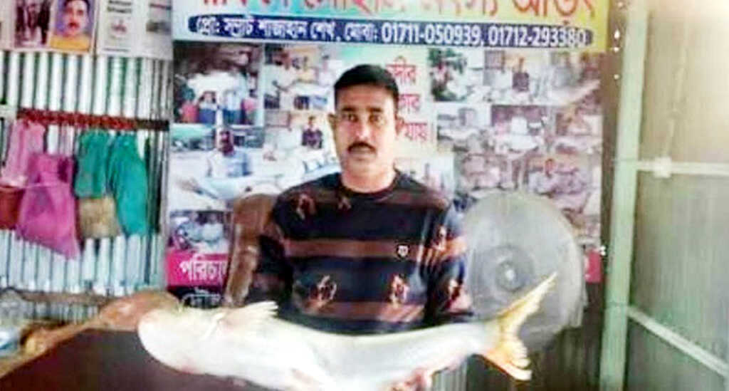 মাছের দাম
