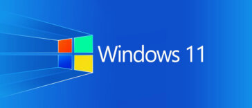 Windows 11